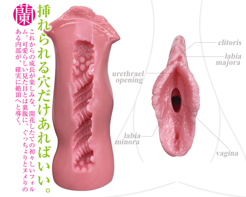 まるごと小陰唇 蘭(らん)