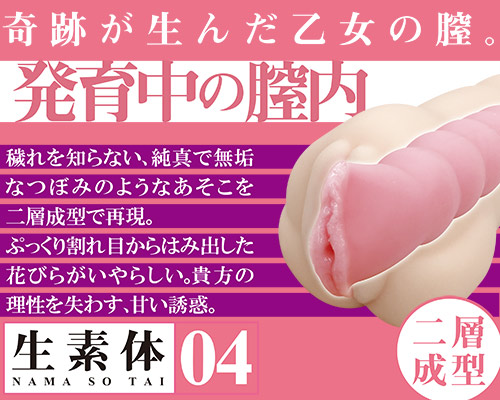 生素体 04