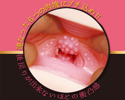 6連肉塊 衝凸ラミア