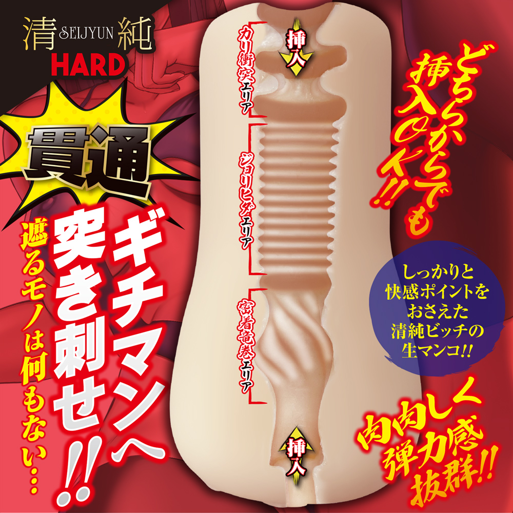 ぶちヌキビッチ 清純ハード