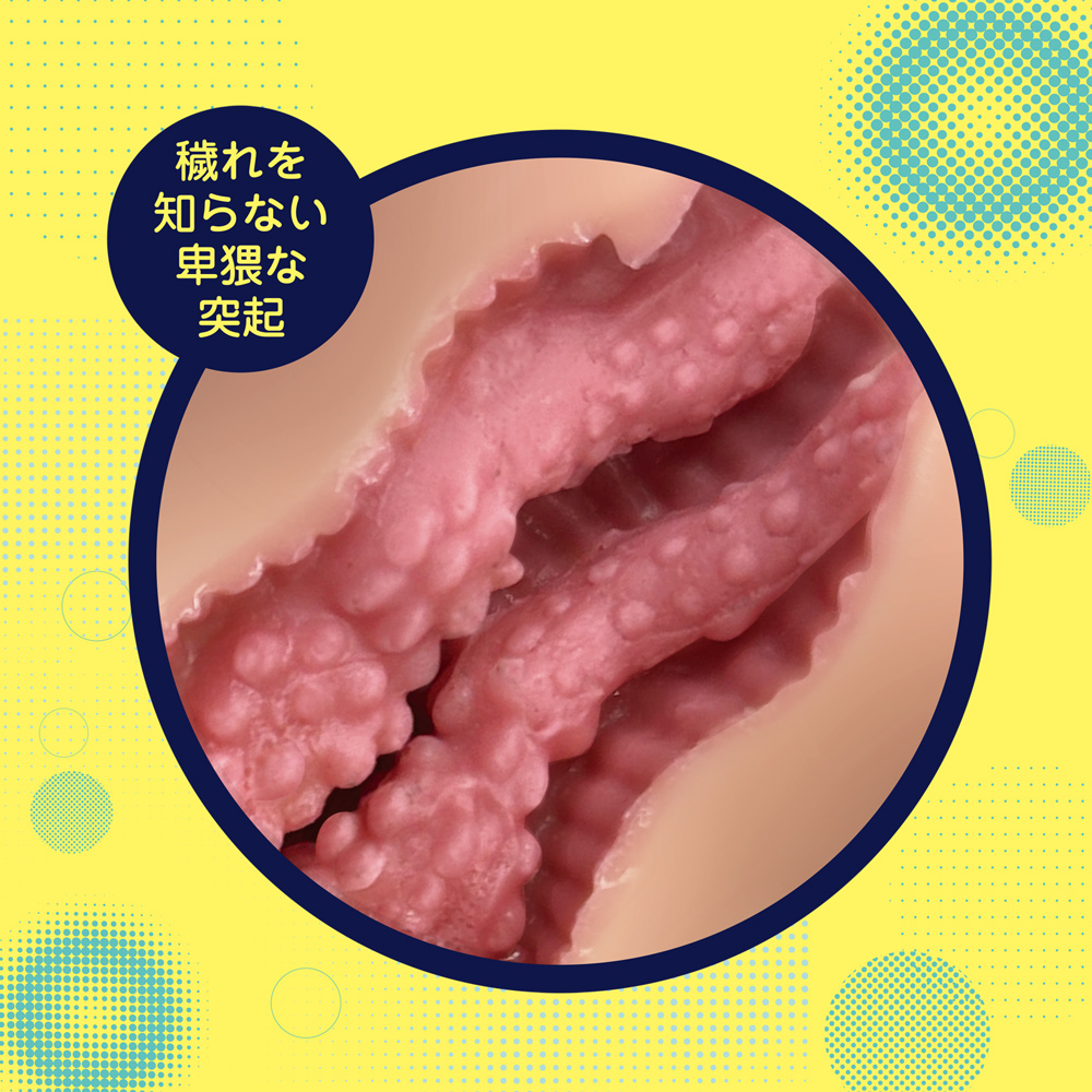 ボクのボーイッシュな彼女