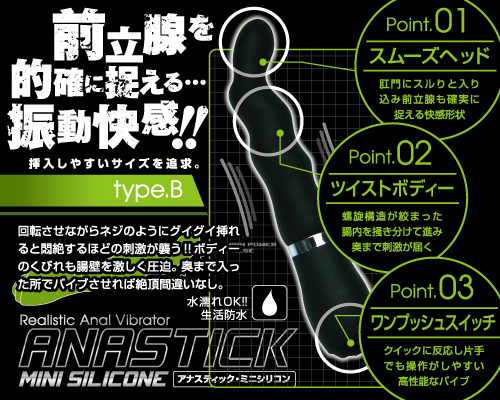 アナスティック ミニシリコン【TYPE B】