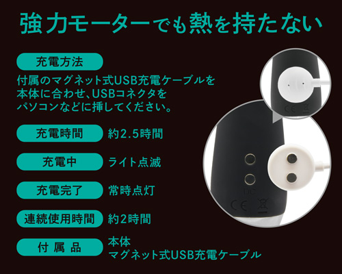 ゼッピン