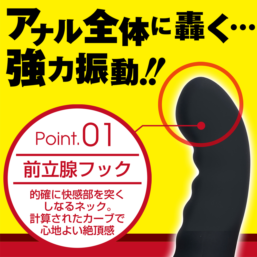 アナスティック ビッグシリコン【TYPE A】