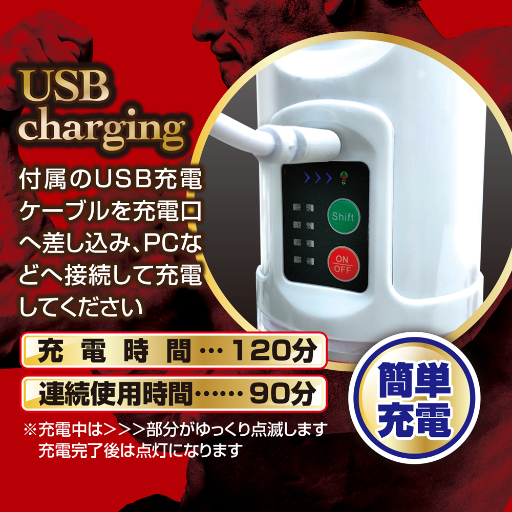 ビッグメンズプロ