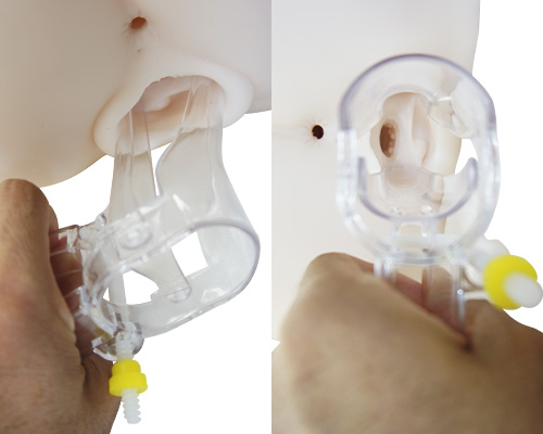 MEDY[メディ] no.7 プラスチックビーク Lサイズ